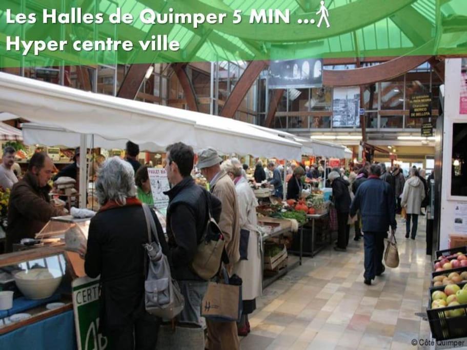 Oo Le Jardin Oo Paisible Studio Equipe Et Bien Place Quimper Ngoại thất bức ảnh